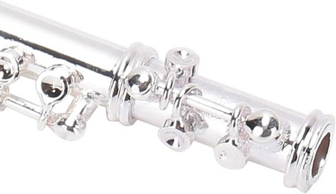 سلسلة مفاتيح فلوت، معدنية، تصميم نابض بالحياة، صغيرة ورائعة، شعور فني أنيق in Kuwait