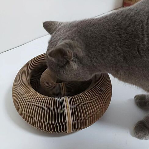 Kitty Kurlz Cat Toy ، Cat Scratcher ، عضل سحري على طراز Infinity ، مقاوم للخدش ومقاوم للتآكل ، ألعاب قطط قابلة للطي للقطط الداخلية in Kuwait