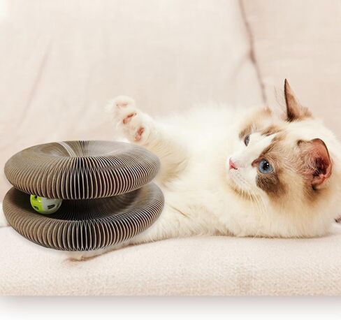 Kitty Kurlz Cat Toy ، Cat Scratcher ، عضل سحري على طراز Infinity ، مقاوم للخدش ومقاوم للتآكل ، ألعاب قطط قابلة للطي للقطط الداخلية in Kuwait