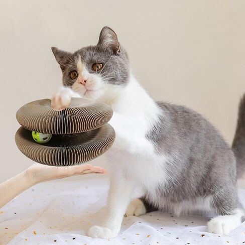 Kitty Kurlz Cat Toy ، Cat Scratcher ، عضل سحري على طراز Infinity ، مقاوم للخدش ومقاوم للتآكل ، ألعاب قطط قابلة للطي للقطط الداخلية in Kuwait