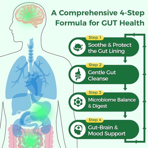 إنزيمات الجهاز الهضمي من جرين بيبول للنساء والرجال - كبسولة لطيفة لتنظيف الأمعاء وصحتها مع الدردار الزلق، والكلوروفيل، والسبيرولينا، ومركب البروبيوتيك - مكمل أمعاء حساس كامل 60 قيراط، استخدام لمدة 30 يومًا in Kuwait