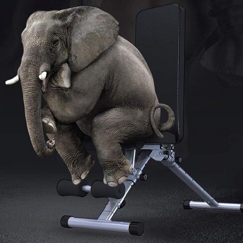 Weight Bench Training Bench Home Gym Exercises Weight Table Folding Dumbbell Bench Multifunctional Fitness Chair Small Bench Pr Bench in Saudi Arabia