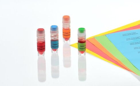 Diversified Biotech Lcry-1400، علامات ليزر للتبريد مقاس 1.00 بوصة × 1.00 بوصة باللون الأبيض (عبوة مكونة من 1600 قطعة) in Kuwait