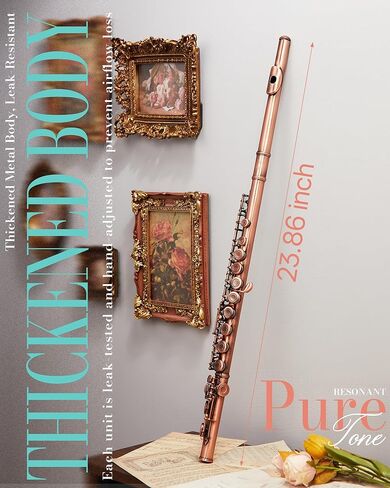 AKLOT Closed-Hole Concert C Flute: Flute Instrument with 16 Keys, Offset G, Smooth Cupronickel Keys, Air-Tight Pads, Include Stylish Leather Hard Case, Cleaning Kit, Stand, Gloves (LUM-CE) in Kuwait