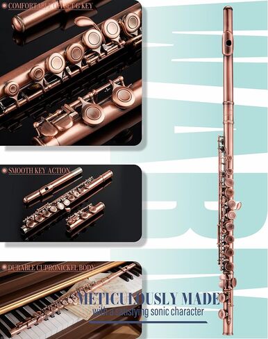 AKLOT Closed-Hole Concert C Flute: Flute Instrument with 16 Keys, Offset G, Smooth Cupronickel Keys, Air-Tight Pads, Include Stylish Leather Hard Case, Cleaning Kit, Stand, Gloves (LUM-CE) in Kuwait