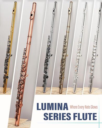 AKLOT Closed-Hole Concert C Flute: Flute Instrument with 16 Keys, Offset G, Smooth Cupronickel Keys, Air-Tight Pads, Include Stylish Leather Hard Case, Cleaning Kit, Stand, Gloves (LUM-CE) in Kuwait