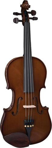 Stentor 1400E2-1/2 4-String Violin, 1/2 in Kuwait