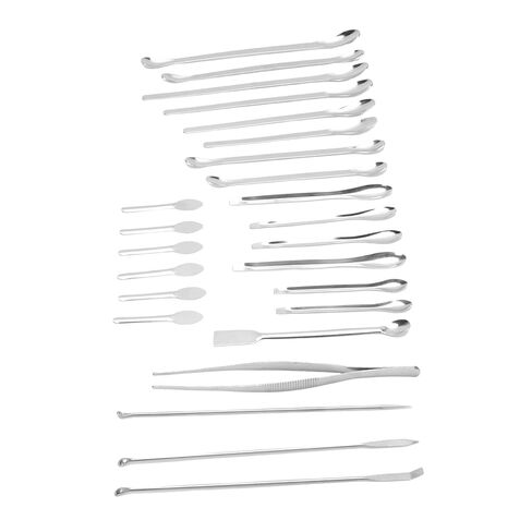 WALFRONT 24PCS Micro Spoons with Tweezers, 304 Stainless Steel Long Handle Sampling Scoop for Laboratory Work, Convenient Storage Box Included in Saudi Arabia