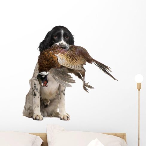 Wallmonkeys English Springer Spaniel Hunting (1 Year) Wall Decal Peel and Stick Graphic WM274791 (24 in W x 22 in H) in Kuwait
