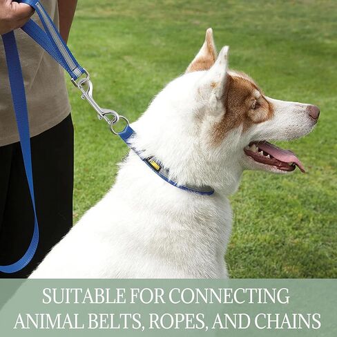 70 جهاز كمبيوتر شخصى 3.5 بوصة مزدوجة نهاية المفاجئة السنانير، الثقيلة الترباس المفاجئة للكلاب المقود سبائك الزنك الزناد مقاطع معدنية سلسلة المفاتيح هوك مفتاح حامل لدلو المياه تغذية الحيوانات الأليفة دلو الزراعية الخيول الحيوانات الأليفة أرجوحة in Kuwait