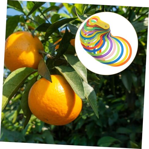 Fruit Diameter Measuring Ring Tool for Accurate Size Measurement Plastic Gauge for Fruits and Vegetables for Farmers and Home Use Easy to Use for Apples Oranges in Saudi Arabia
