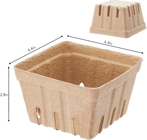 50 Pack Natural Pulp Fiber Berry Baskets with Blank Label for Vegetables Strawberry Blueberry Raspberry Egg, Farmer Market Produce Basket Containers Grocery Store Supplies Fruit Stand Supplies in Saudi Arabia