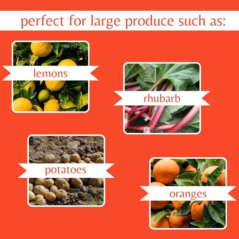 12 Pack – Corrugated 4 Quart Fruit and Vegetable Picking Tray with Metal Handle – Strong Cardboard Berry Harvesting Basket in Kuwait