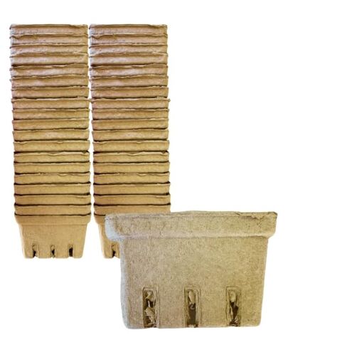 سلال باينت بيري من ألياف اللب، 4 × 2.75 بوصة، لون طبيعي (12) in Saudi Arabia