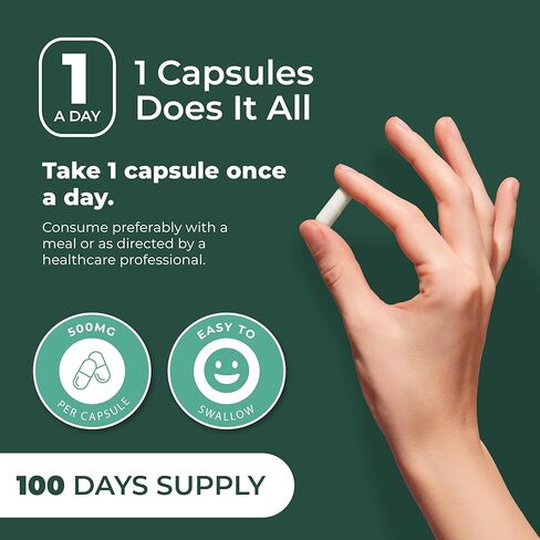 PurePremium Saw Palmetto 500 mg للرجال/النساء – أقصى قوة لمستخلص Saw Palmetto | كبسولات مسحوق مكملة - تدعم المسالك البولية الطبيعية وصحة البروستاتا/الشعر - كمية تكفي لمدة 3 أشهر - 100 قرص in Kuwait