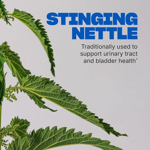 Swisse Saw Palmetto Prostate Supplement for Men | Reproductive Health & Prostate Support with Zinc, Selenium & Stinging Nettle | 50 Tablets in Kuwait