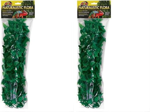 Zoo Med Laboratories SZMBU20 Natural Bushy Mexican Phyllo, Medium in Saudi Arabia