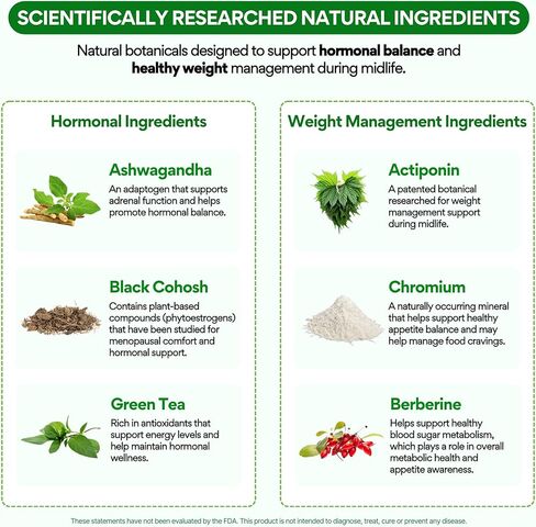 VoomVaya MenoSlim المتقدم لفقدان الوزن بعد انقطاع الطمث للنساء - مكملات انقطاع الطمث للنساء مع البربرين والكوهوش الأسود والأشواغاندا والأكتيبونين - 60 كبسولة in Kuwait
