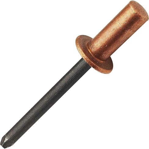 30 قطعة من المسامير العمياء ذات النهاية المغلقة، 3/16 بوصة × 3/8 بوصة - رأس قبة نحاسية مع مغزل فولاذي، مسامير بوب مختومة (4.8 × 10 مم) in Kuwait