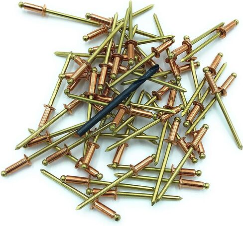 EAGLE 1 Copper Pop Rivet with Brass Mandrel #44 (1/8" Diameter X 1/4" grip) For Roofing, Siding, Automotive, Crafts & More! (3 FREE Drill Bits, 100 Quantity) in Kuwait