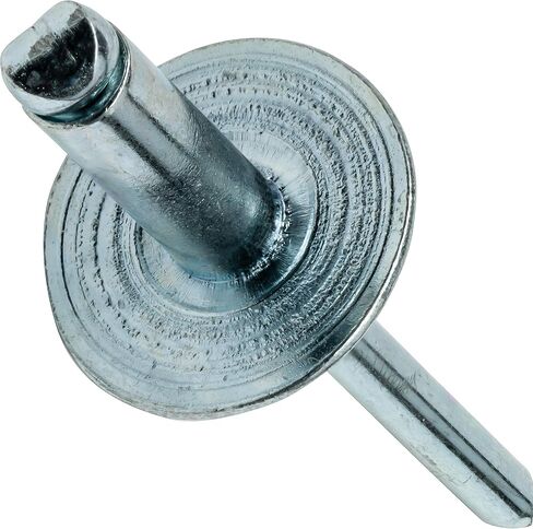 Fastenere Large Flange Pop Rivets - 1/8" x 1/4" (100 pcs) Heavy Duty, Open End, Steel Zinc, Corrosion-Resistant, High Tensile & Shear Strength, 4-4 Gap .188" - .250" in Saudi Arabia