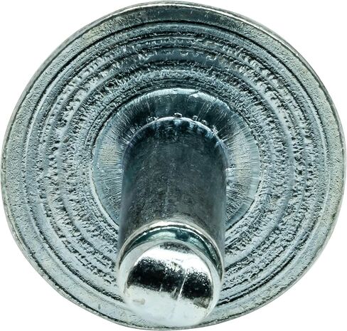 Fastenere Large Flange Pop Rivets - 1/8" x 1/4" (100 pcs) Heavy Duty, Open End, Steel Zinc, Corrosion-Resistant, High Tensile & Shear Strength, 4-4 Gap .188" - .250" in Saudi Arabia