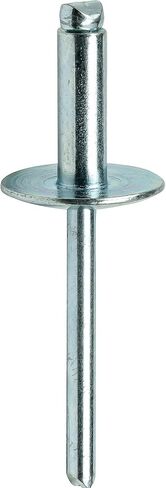 Fastenere Large Flange Pop Rivets - 1/8" x 1/4" (100 pcs) Heavy Duty, Open End, Steel Zinc, Corrosion-Resistant, High Tensile & Shear Strength, 4-4 Gap .188" - .250" in Saudi Arabia