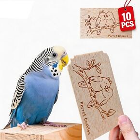 ألعاب طبيعية من خشب البالسا الخشبية لببغاوات - 10 شريحة خشبية ناعمة لتمزيق وعلع ، طباعة لطيفة ، لعبة التسنين لفيدي ببغاء ببغاء ببغاء ببغاء طيور طيور طيور صغيرة in Kuwait