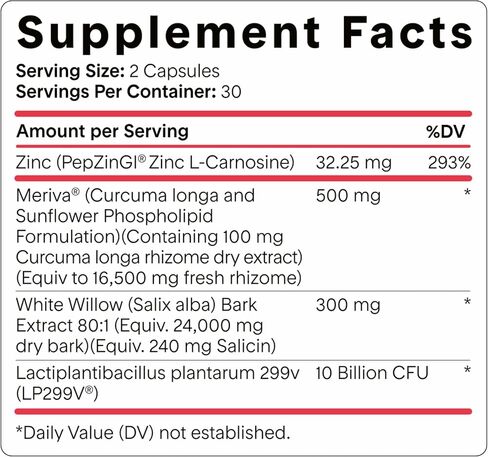 Goodness Lover Inflammation Pro, with 10 Billion CFU for Digestive Support, Curcumin, White Willow bark Extract, Zero fillers, Vegan, 30 Servings in Saudi Arabia
