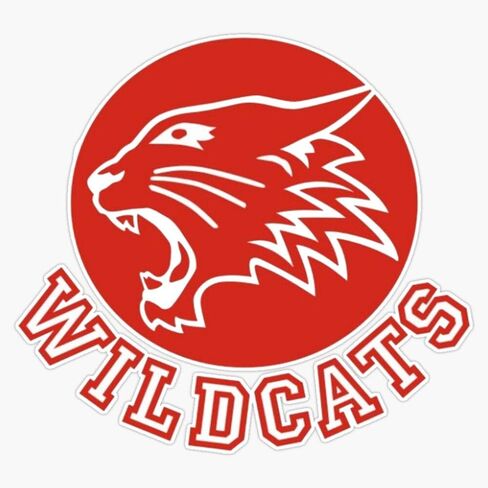 Wildcats (High School Musical) Vinyl Waterproof Sticker Decal Car Laptop Wall Window Bumper Sticker 5" in Saudi Arabia