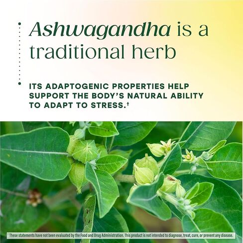 MegaFood Zero Sugar Ashwagandha Gummies - with Clinically Studied Ashwagandha KSM 66 - Cortisol Reducer & Stress Support - Mixed Berry Flavor, No Gelatin, Vegan - 60 Gummy Vitamins, 30 Servings in Saudi Arabia