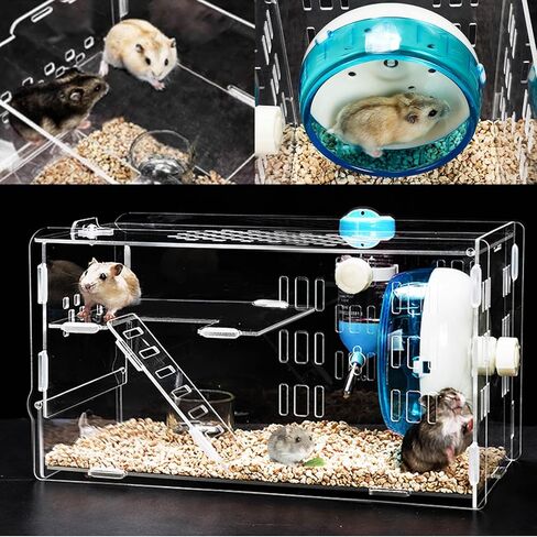 kathson Dwarf Hamster Cage Transparent Hamsters Cages and Habitats Gerbils Acrylic Cage Cute Mini Pet Habitat with Accessories Exercise Wheel Water Bottle Food Bowl for Small Animal Blue in Kuwait