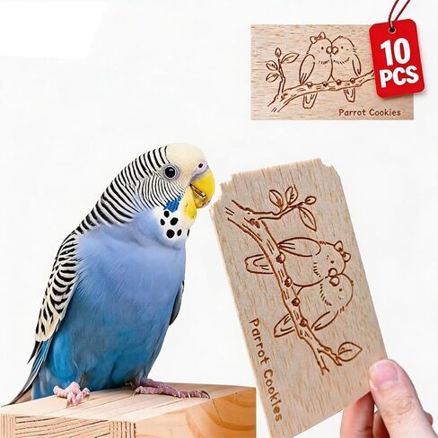 ألعاب طبيعية من خشب البالسا الخشبية لببغاوات - 10 شريحة خشبية ناعمة لتمزيق وعلع ، طباعة لطيفة ، لعبة التسنين لفيدي ببغاء ببغاء ببغاء ببغاء طيور طيور طيور صغيرة in Kuwait