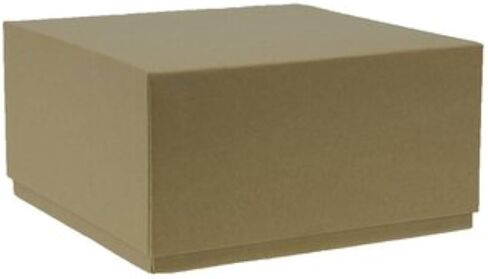 B2CS Cardboard Cryogenic Storage Boxes, Special, 5-3/8" x 5-3/8" x 1-7/8" in Saudi Arabia