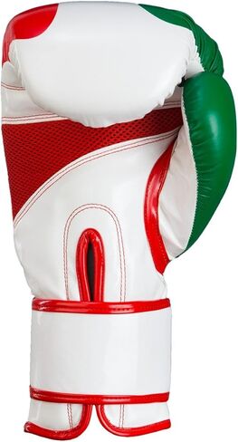 Title Infused Foam El Combate Mexico Training Gloves, Mexico, Regular in Kuwait