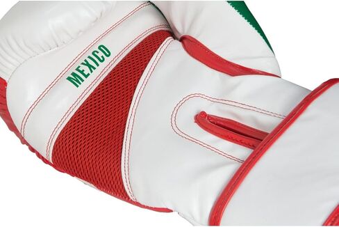 Title Infused Foam El Combate Mexico Training Gloves, Mexico, Regular in Kuwait