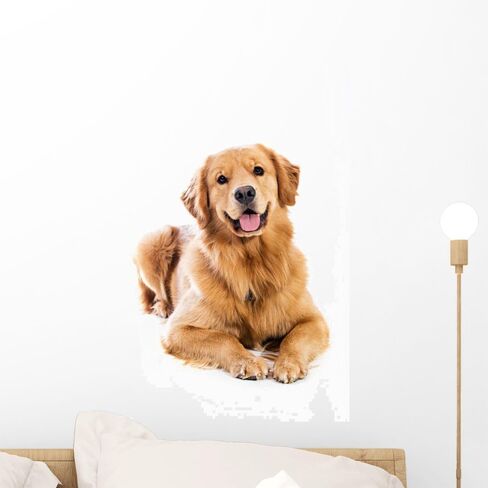 Wallmonkeys WM231602 Golden Retriever Peel and Stick Wall Decals, 18" H x 12" W-Small in Kuwait