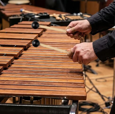 4 Pcs Rubber Mallets Percussion, 7.2 Inch Mallets with 1 Inch Rubber Heads, Perfect Warm Mellow Sound, Professional Hard Rubber Mallets for Xylophone, Glockenspiel, Vibraphone and Orchestra Bells in Kuwait