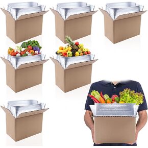 6 Pack Insulated Shipping Boxes with Aluminum Foil Insulated Bag，for Shipping Frozen Food Cold Shipping Boxes Large Foil Cooler Carton Moving Kits for Mailing Packing (Box Size 11 x 6.1 x 7.1 Inch)