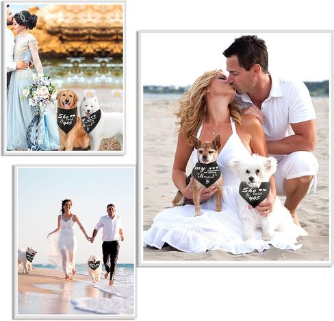 هدية الخطوبة، My Humans are Getting Married Dog Bandana، زفاف الكلب باندانا، وشاح للحيوانات الأليفة للكلاب الصغيرة والمتوسطة والكبيرة 2 شريط (أسود ماسي) in Kuwait