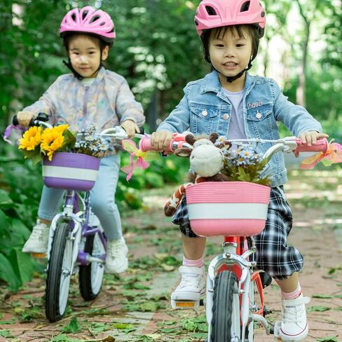 Royalbaby Photon Blue Edition Frame & Fork Set in Saudi Arabia