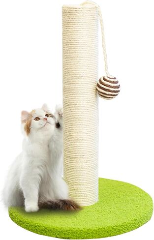 17 Inch Tall Cat Scratching Post Cat Scratcher- Sisal Rope and Carpet Scratching Pole with Hanging Ball Toy for Adult Cats and Kittens (Green) in Saudi Arabia