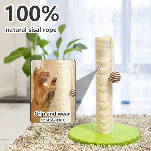 17 Inch Tall Cat Scratching Post Cat Scratcher- Sisal Rope and Carpet Scratching Pole with Hanging Ball Toy for Adult Cats and Kittens (Green) in Saudi Arabia