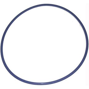 Q360 Valve Lid O ring Blue Square Manufacturing # 01130799 in Saudi Arabia