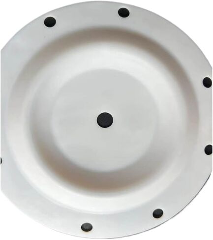 1-inch Plastic Pump Diaphragm PTFE Diaphragm 286-108-600 in Saudi Arabia