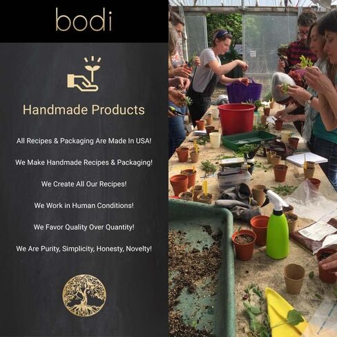 bodi :Linden Flower 10:1 Extract Powder | 4oz to 5lb | 100% Pure Natural Hand Crafted (4 oz) in Saudi Arabia
