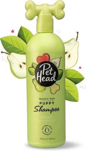 Pet Head Mucky Pup Puppy Conditioner | Pear Scent | Conditioner for Puppies from 8 Weeks | Professional Grooming | Vegan | pH-Neutral | Gentle Formula for Puppies | Made in USA | 8.4 fl. oz. in Kuwait