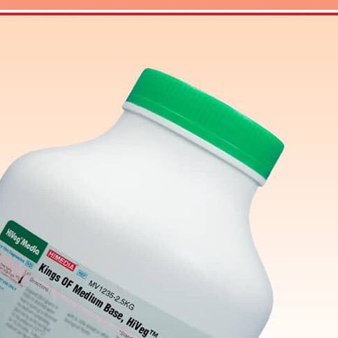 MV1235-2.5KG King's of HiVeg Medium Base, 2.5 kg in Kuwait