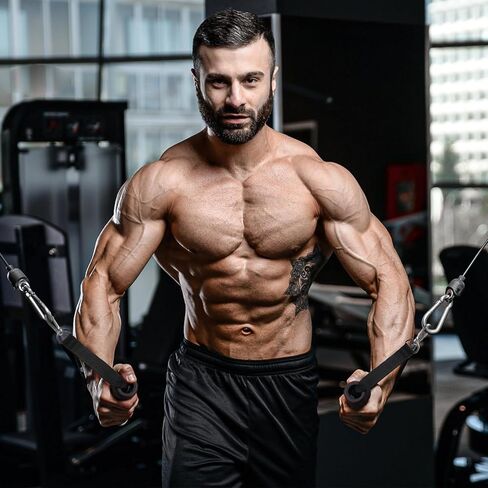 flintronic Exercise Handle, Resistance Bands Handle, Replacement Handle Attachments for Cable Machine Pulleys, Gym Handles with 2 Heavy Duty Carabiner Hooks, for Fitness Workout Gym Pilates Yoga in Kuwait