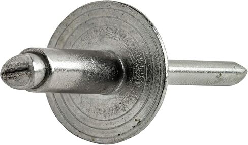 Fastenere Large Flange Pop Rivets - 1/8" x 1/4" (50 Pack) Heavy Duty, Stainless Steel Blind Rivets, Open End 4-4 Grip Range .188" - .250", Corrosion Resistant, High Tensile & Shear Strength in Saudi Arabia